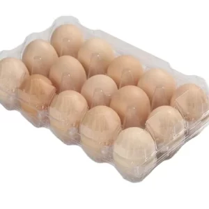 15 Eggs tray