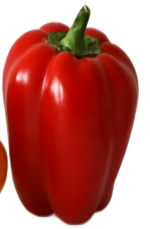 Red Pepper